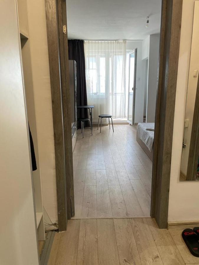 Bega Cirumvalatiunii One Room Apartment- 4 Temešvár Exteriér fotografie